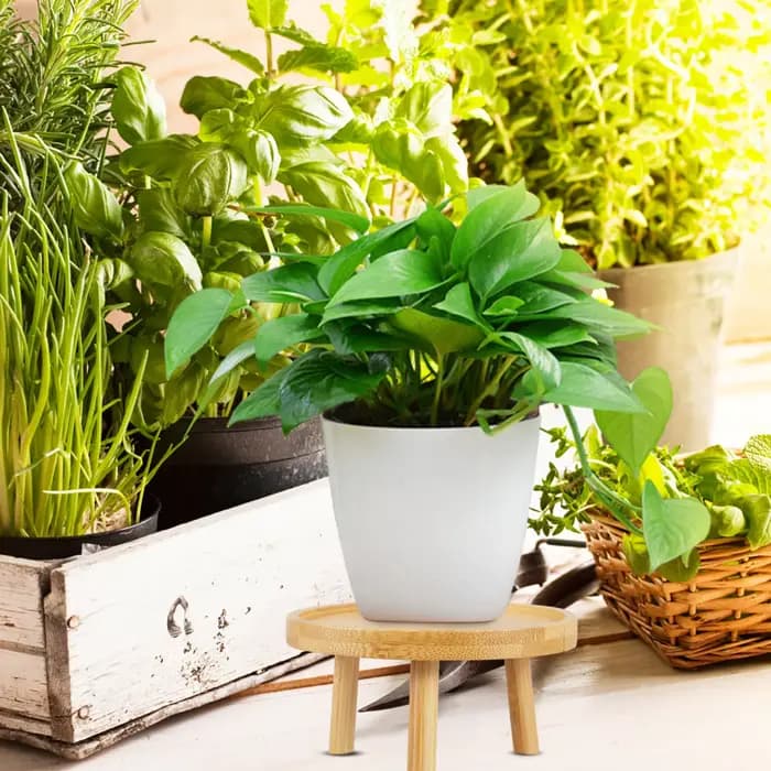 Support décoratif rond en bois massif pour pots de fleurs, style vintage, pour jardin intérieur et b