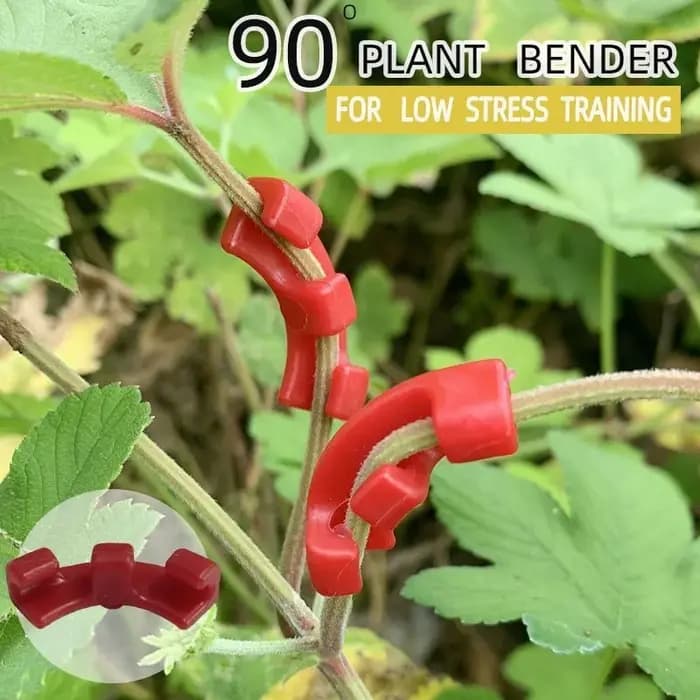 Outil de pliage de branches de bonsaï, crochet de formation pour plantes, pince pour façonner et plier les branches, kit d'outils de formation pour jardinage