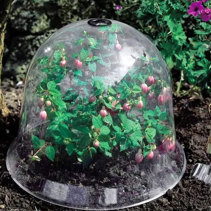 Couverture réutilisable en plastique pour plantes de jardin, couverture de cloche pour serre, protec
