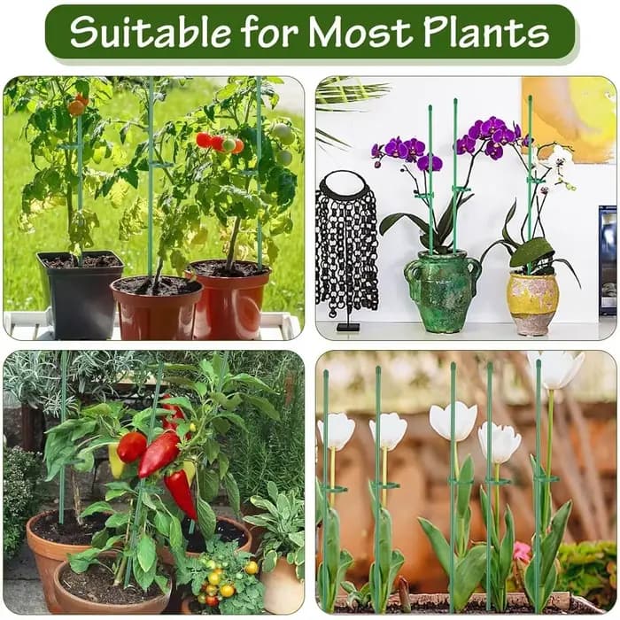 Piquets de plantes Piquets de Support de plantes réglables conçus pour les plantes d'intérieur moyen