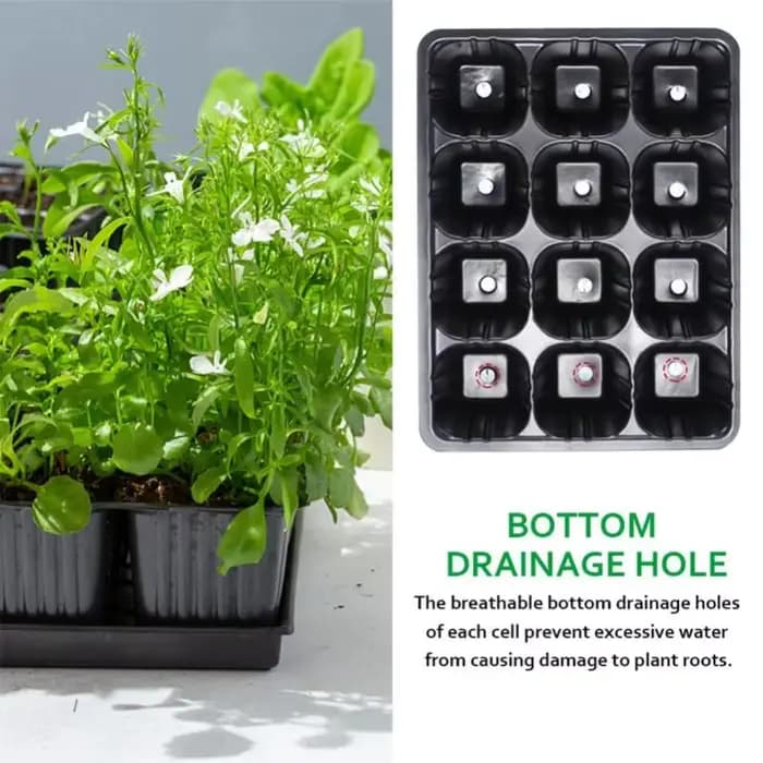 Pots de semis de légumes durables, cadres de germination, pots de fleurs de plantes, boîte de cultur