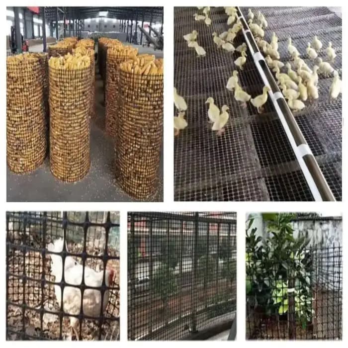 Clôture de jardin en plastique LatejMesh, clôture de sécurité pour sécuritaires, chat, animal de com