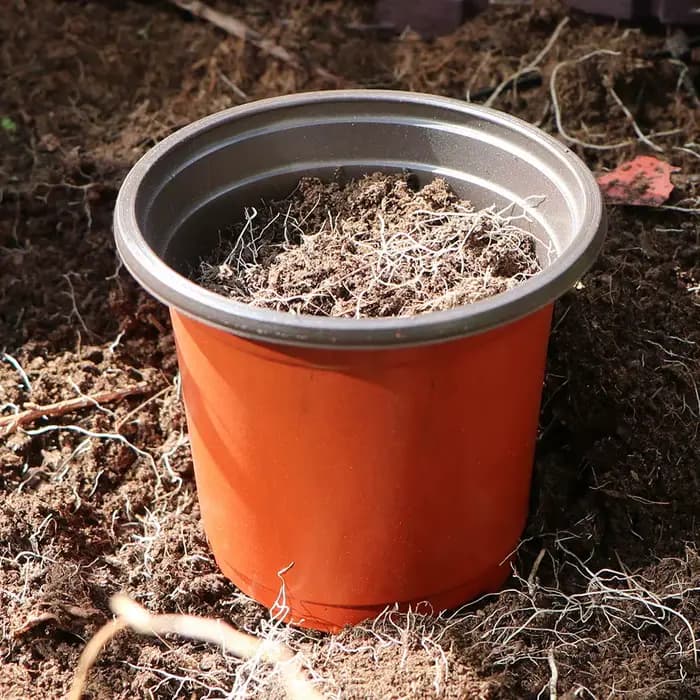 Pot de plantes de jardin, pots de fleurs, graines de pépinière, léger et respirant, garde l'humidité