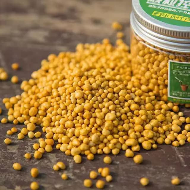 Engrais à libération contrôlée 130g pour plantes succulentes