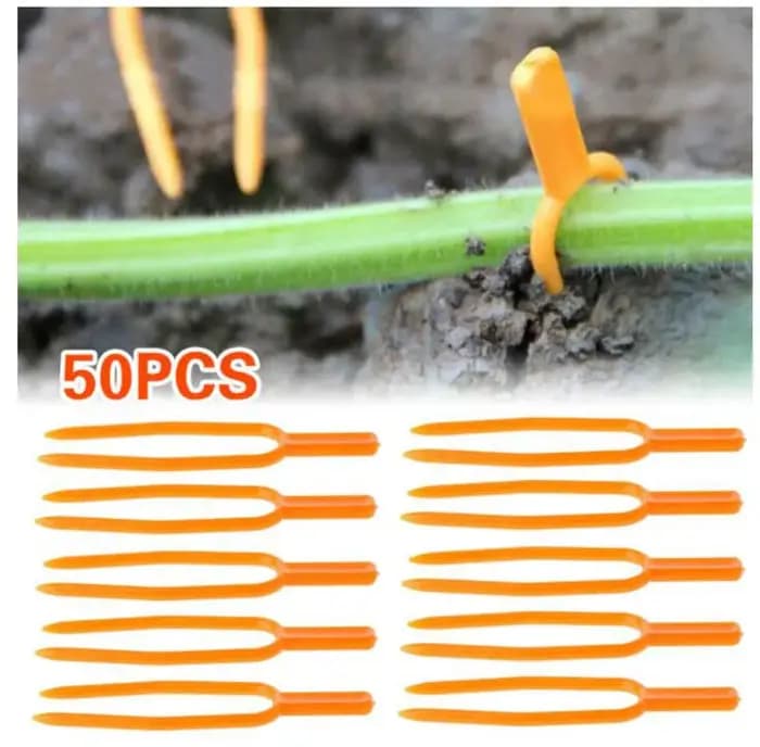 Support de plantes grimpantes en plastique