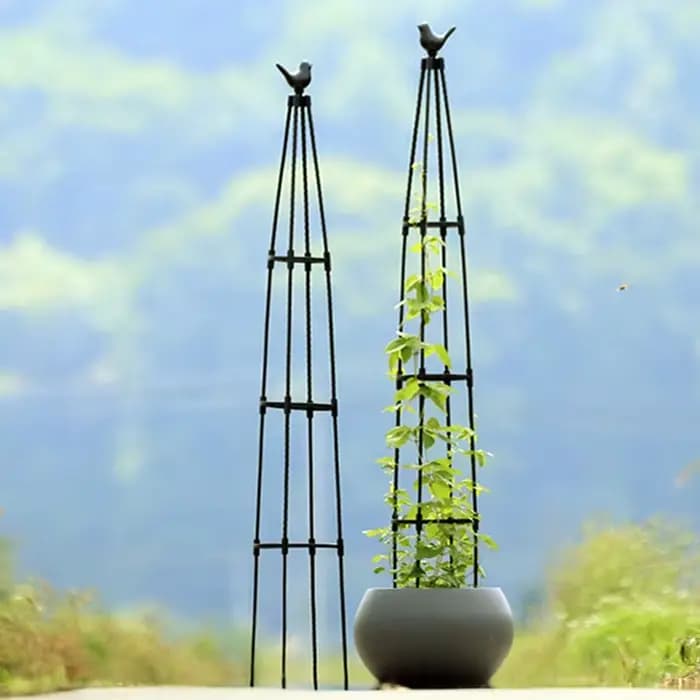 Treillis d'obélisque de jardin pour plantes grimpantes, treillis rond de buisson de roses d'extérieu
