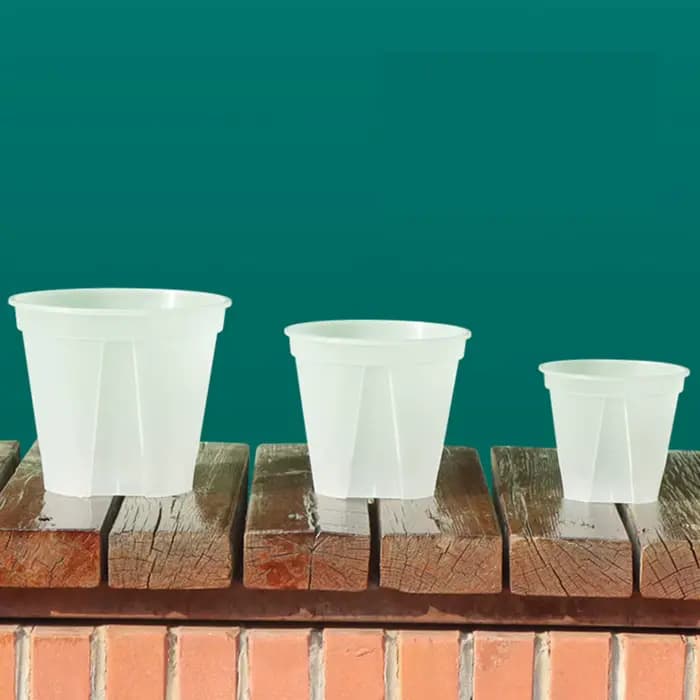 Pots d'orchidées en plastique transparent avec trous