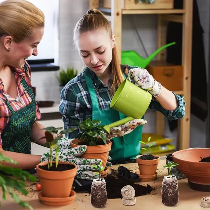 42 pastilles de semis de plantes de 30 mm, coupelles de semis pour légumes, fleurs, bonsaïs, accesso