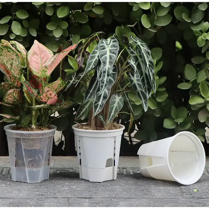 Pot d'orchidée transparent avec trous, contrôle des racines, pots de pépinière transparents, plastiq