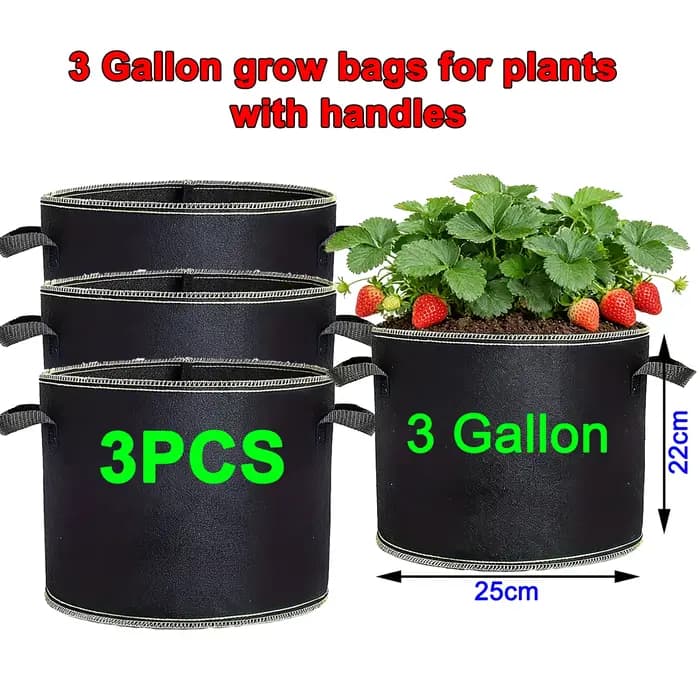 Sacs de culture de fraises de 3 gallons