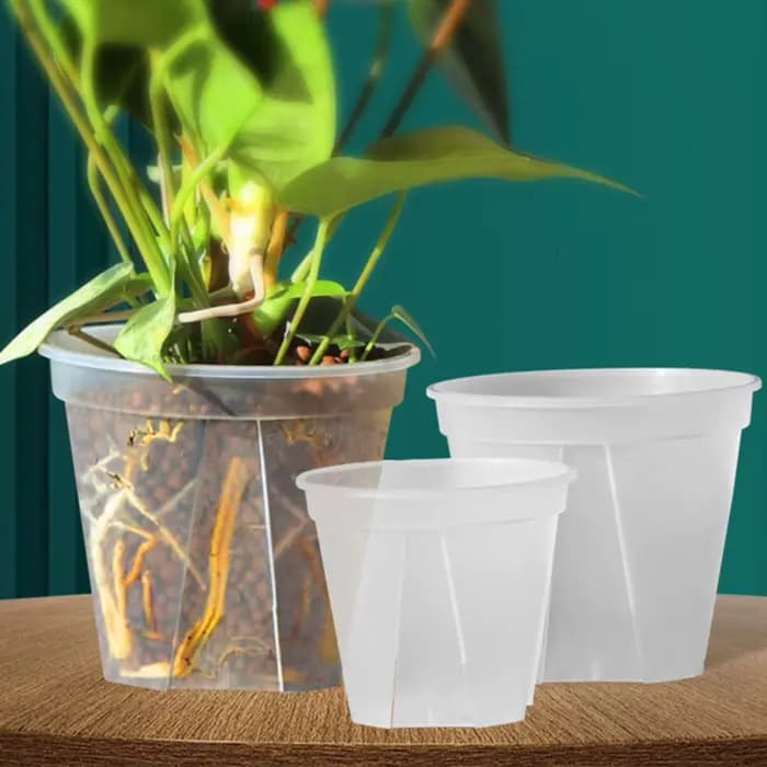 Pots d'orchidées en plastique transparent avec trous, pot de fleur transparent, plantes succulentes,