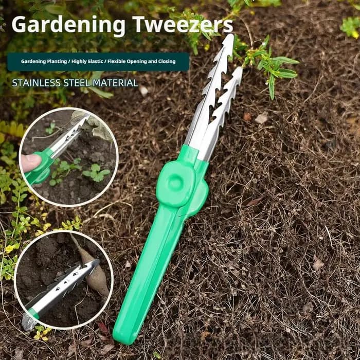 Pince de jardinage légère pour désherbage et repiquage de plantes succulentes en extérieur