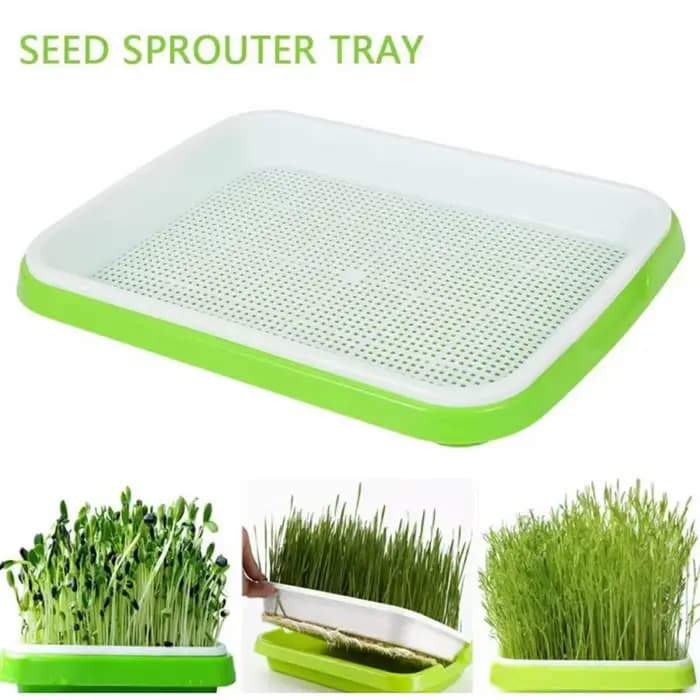 Microgreens plateau hydroponique à 2 couches plateau de germes Anti-piqûres de moustique 33 cm * 26
