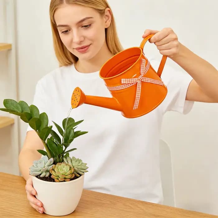 Petite Arrosoir 1L avec Tête de Pulvérisation et Ruban Gingham – Arrosoirs Modernes pour Plantes