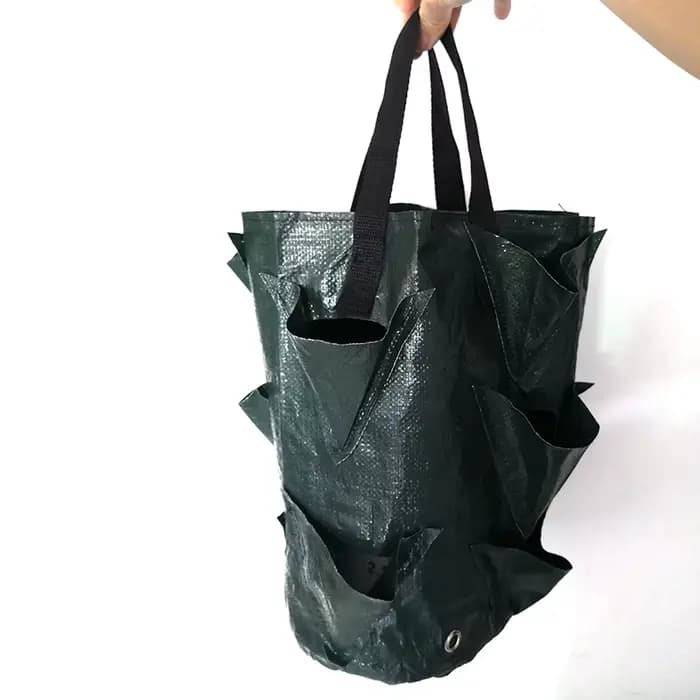 Sac de culture de plantes fraises 3 gallons, conteneur de tomates en plein air, sacs multi-bouche su
