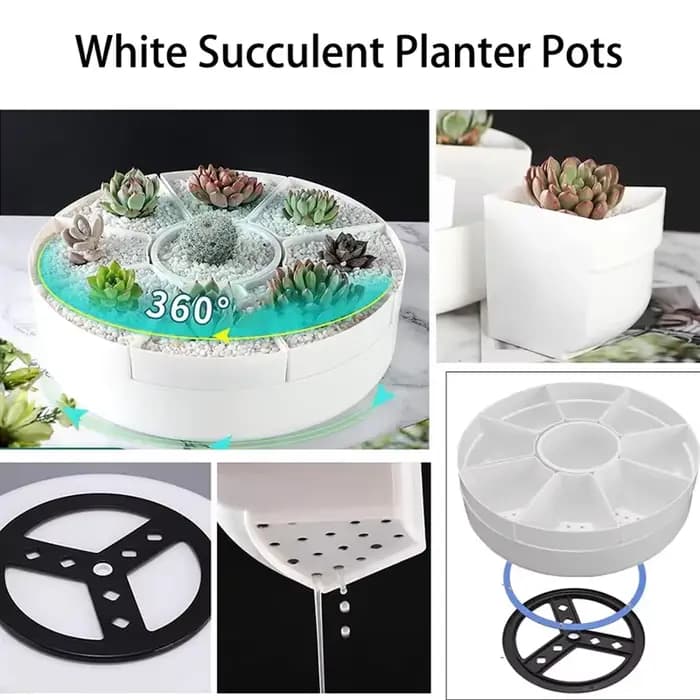 Pots de fleurs rotatifs multiples de forme ovale - Plante en pot pour plantes succulentes blanches - Pot de rangement