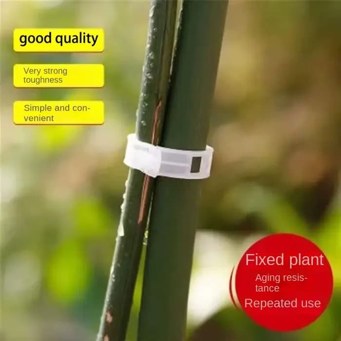Clips de maintien de vigne réutilisables en plastique
