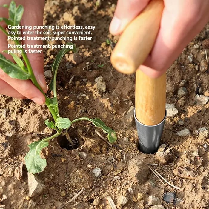 Outil de jardinage en acier inoxydable pour la transplantation