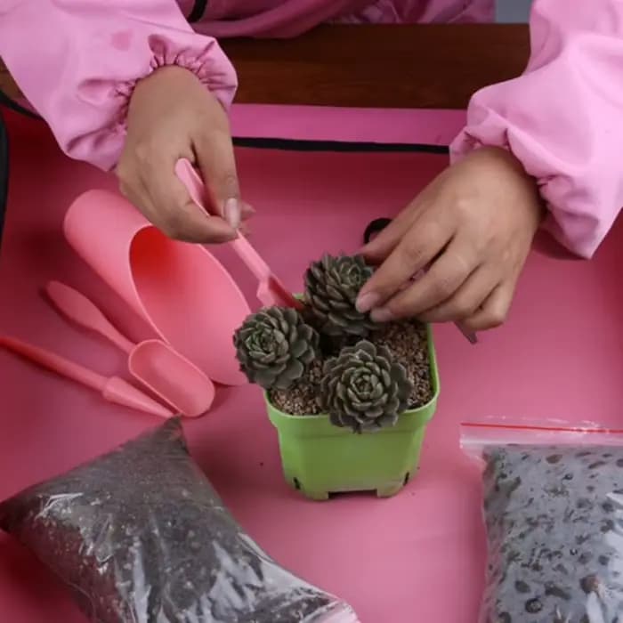 4 pièces/ensemble, pelle à seau en plastique Durable, cylindre de culture en pot, plante à viande, p