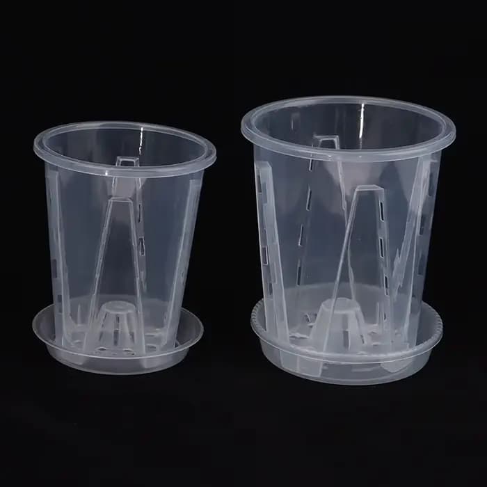 Pot de Fleur Transparent avec Escalade pour Plantation d'Orchidées Phalaenopsis