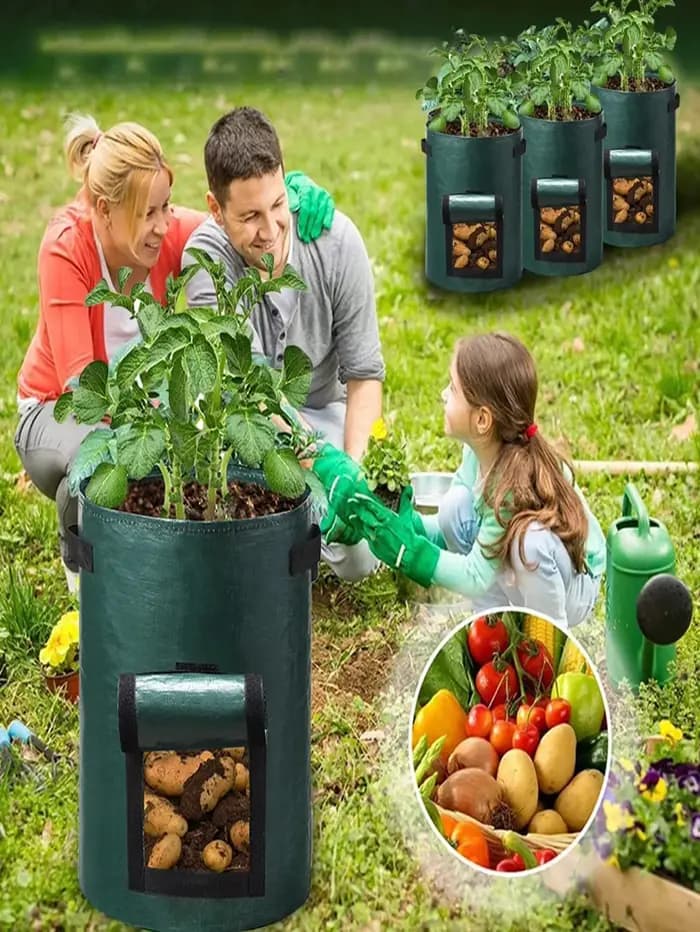 Sac de culture de plantes végétales, 5 pièces, fournitures de jardin, conteneur de plantation, Pot d