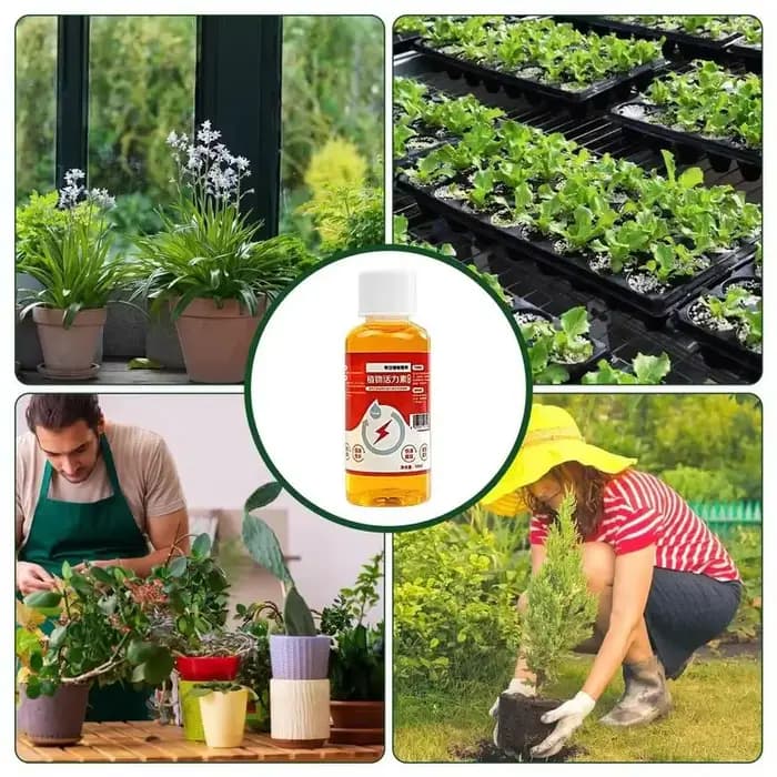 Prospérer pour les plantes 50ml Nutrition liquide