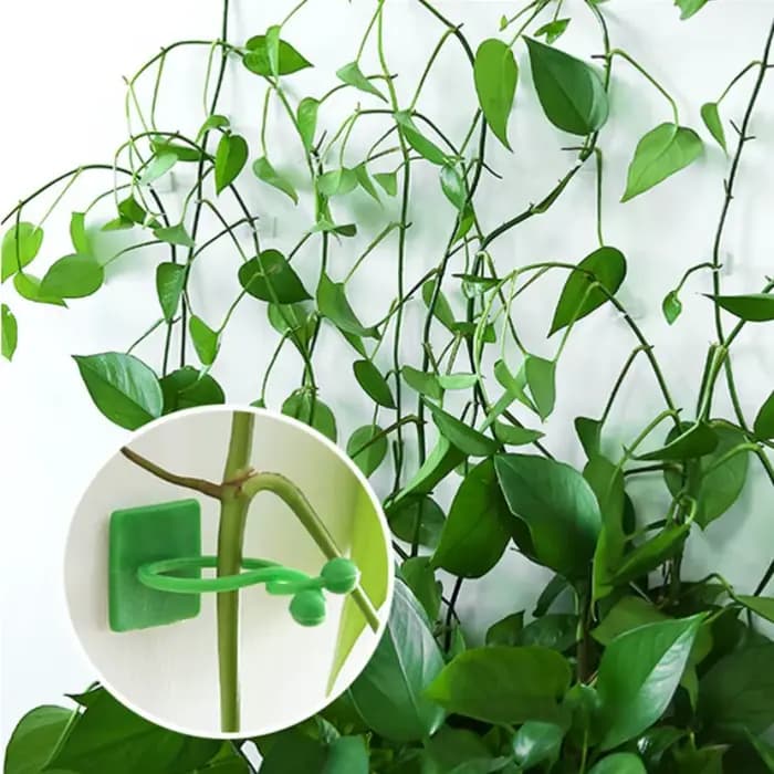 Porte-plante en forme de feuille, 10 pièces, plante verte, mur d'escalade, crochets collants, fixate