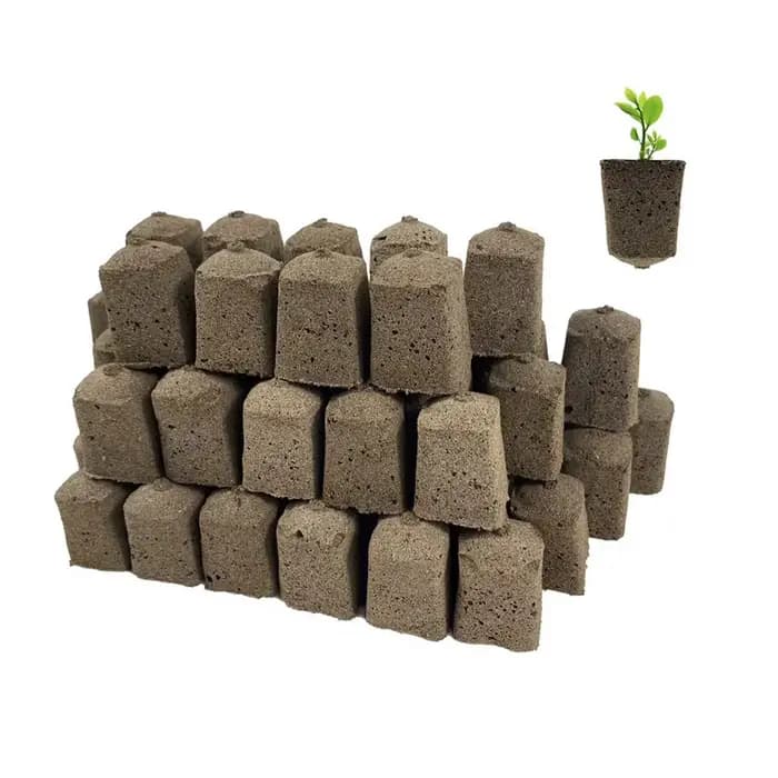 Éponges hydroponiques pour semis, fleurs de jardin, plantation, pouce vert, nuit de sol pour favoris