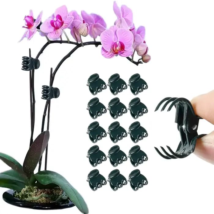 Pince de support de fleur d'orchidée papillon, tige de légume, branche de vigne attachée, outil de j
