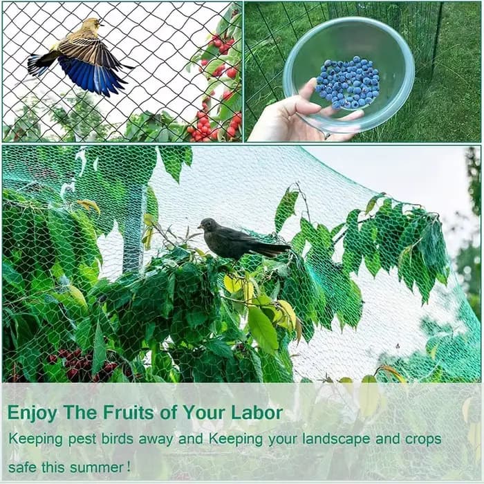 Filet de Protection anti-oiseaux vert, filet pour plantes de jardin, protège les plantes et les arbr