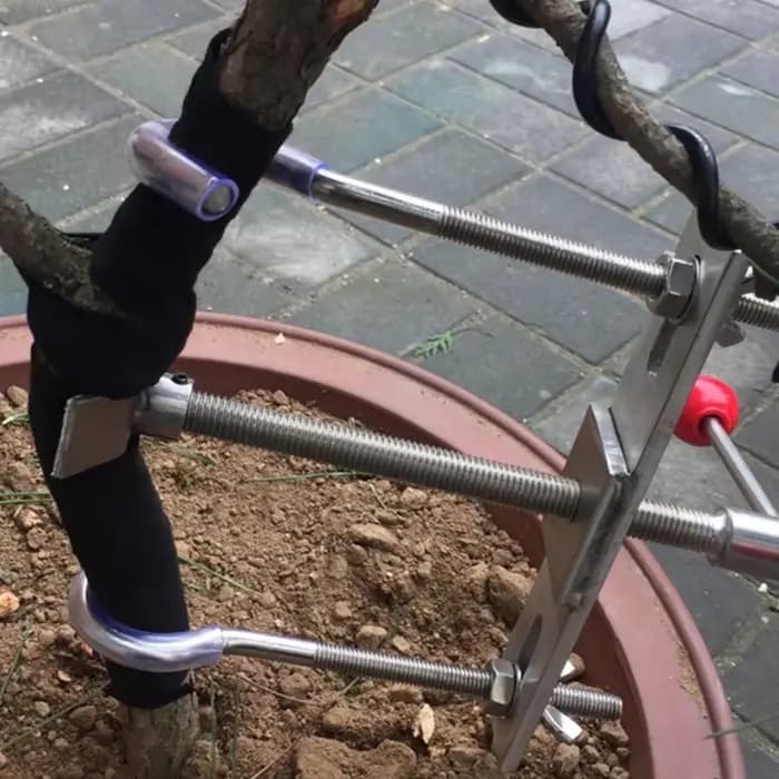 Outils de bonsaï, modulateur de branches d'arbres