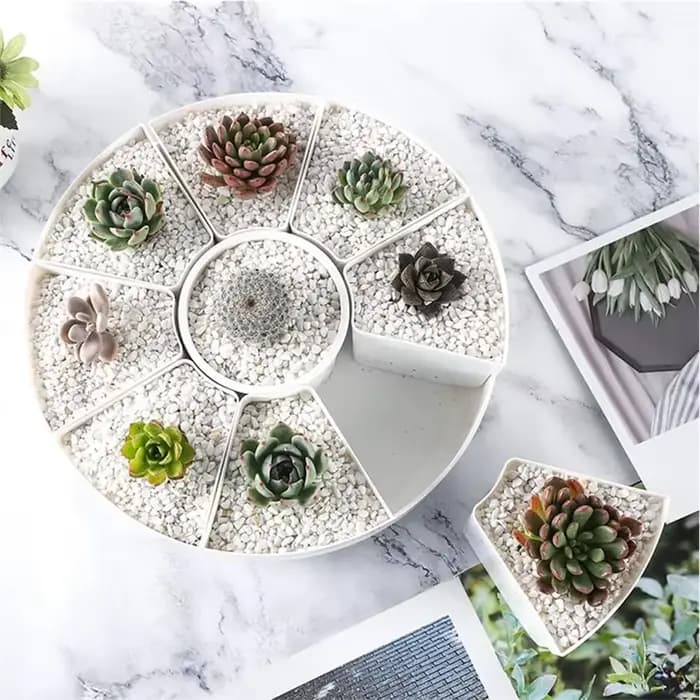 Pots de fleurs rotatifs multiples de forme ovale - Plante en pot pour plantes succulentes blanches - Pot de rangement