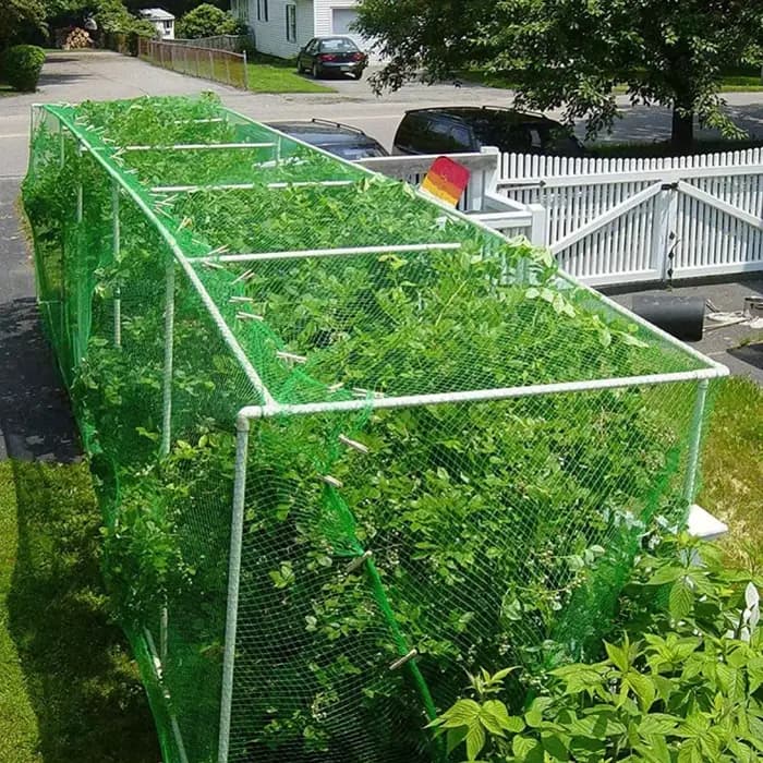 Filet d'arbres fruitiers noir réutilisable 4x5m/ 5x20m, filet de jardin pour protéger les arbres fru