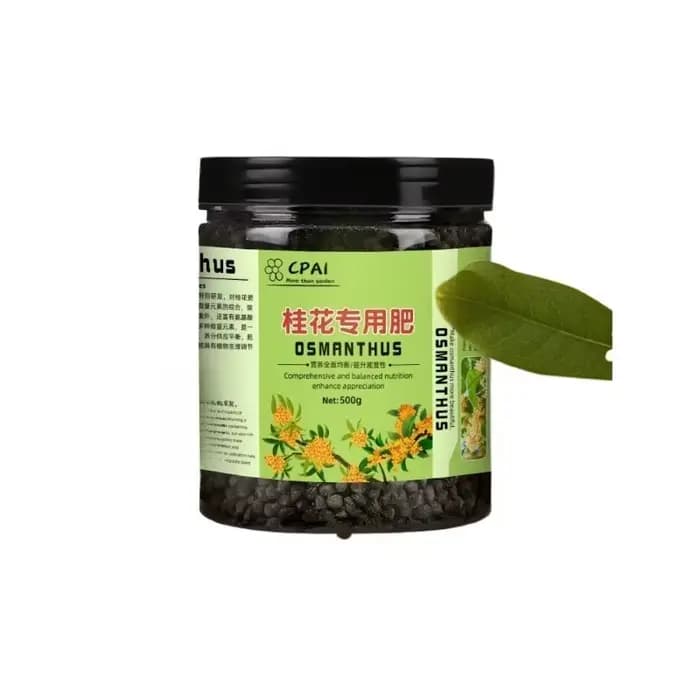 Promotion et culture de fleurs spécifiques à l'arbre Osmanthus