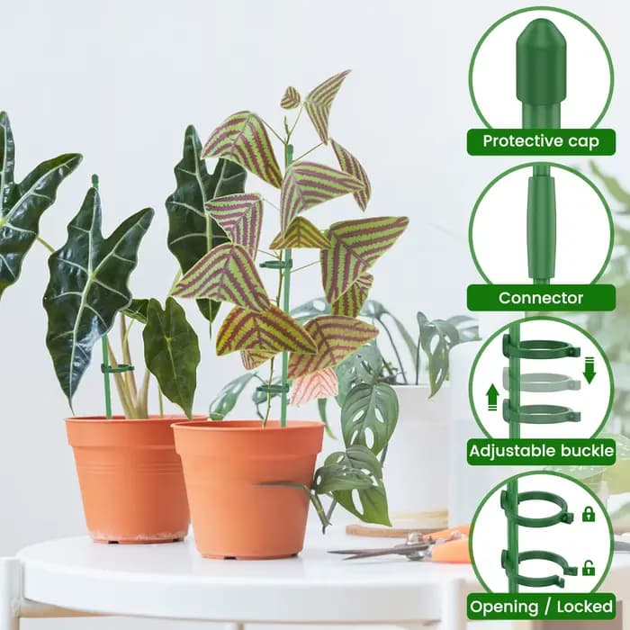 Piquets de Support de plantes réglables, poteau d'escalade avec Clips et bâtons de tuyaux de connexi