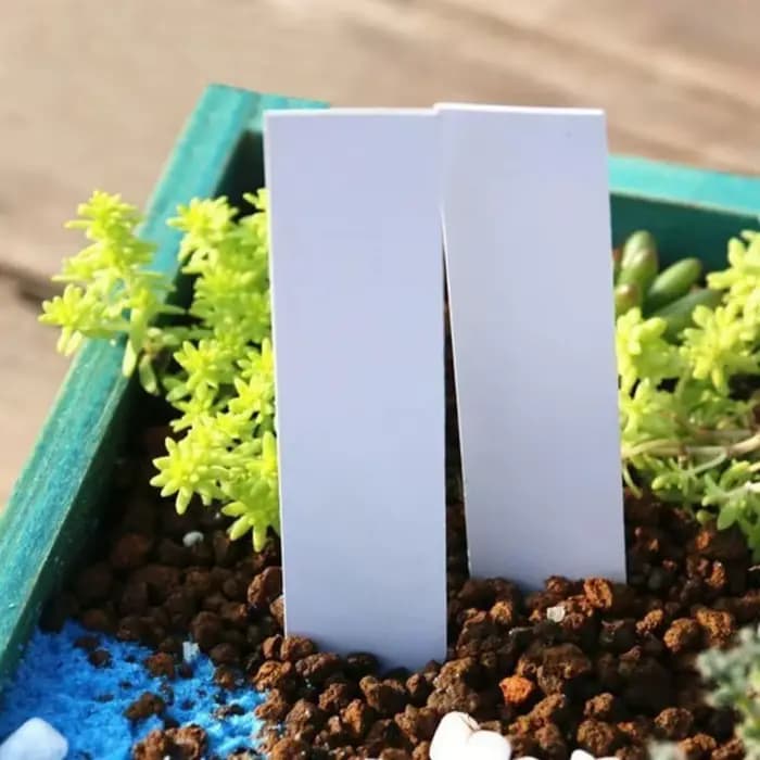 Étiquettes en plastique pour plantes de jardin, 5x1cm, 500 pièces, marqueurs de pépinière, pots de f