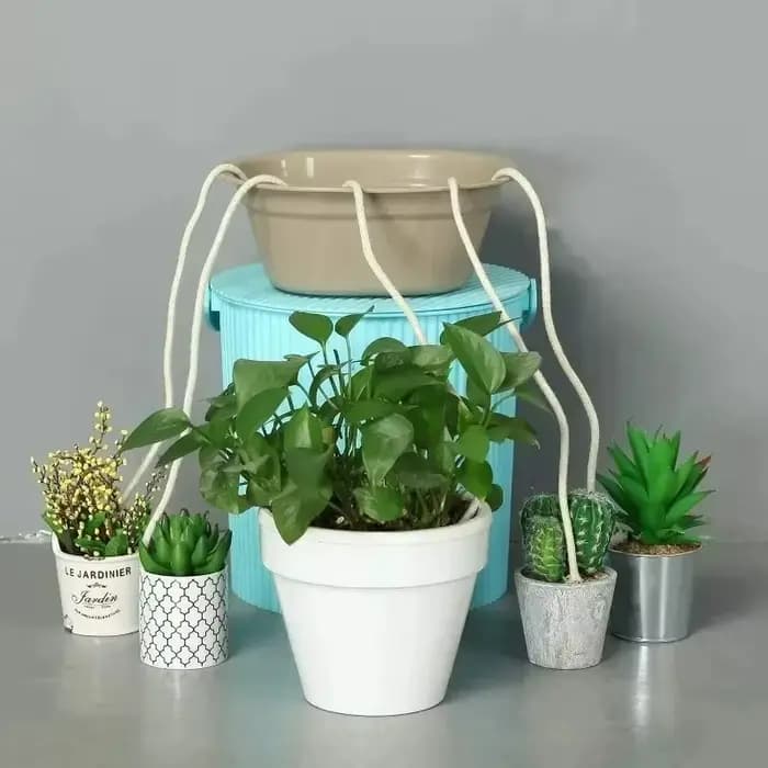 Cordons en coton auto-arrosants 4/5/6 mm pour pots de fleurs, mèches absorbantes automatiques, systè