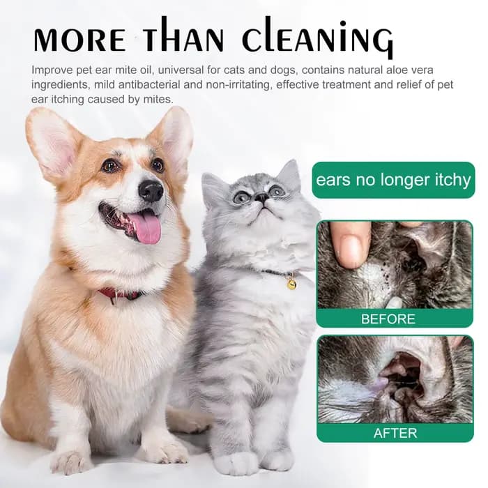 Gouttes auriculaires pour animaux de compagnie : Traitement contre les puces