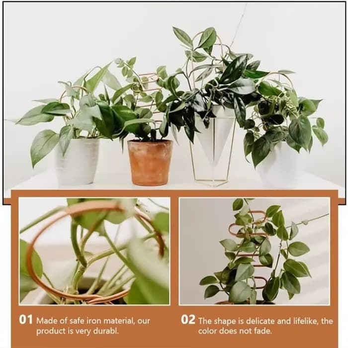 Support d'escalade pour plantes, treillis pour plantes de jardin, Support sur piquet, croissance de