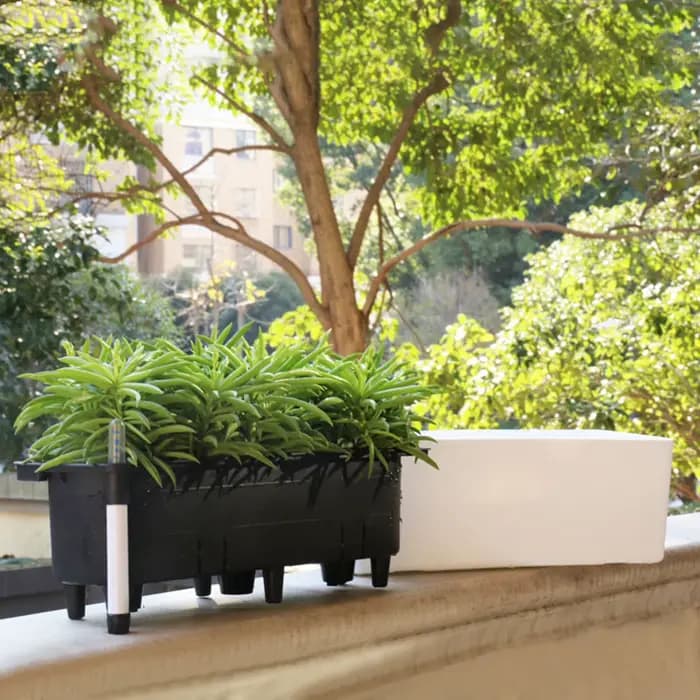 Pot de fleur à arrosage automatique avec indicateur de niveau d'eau