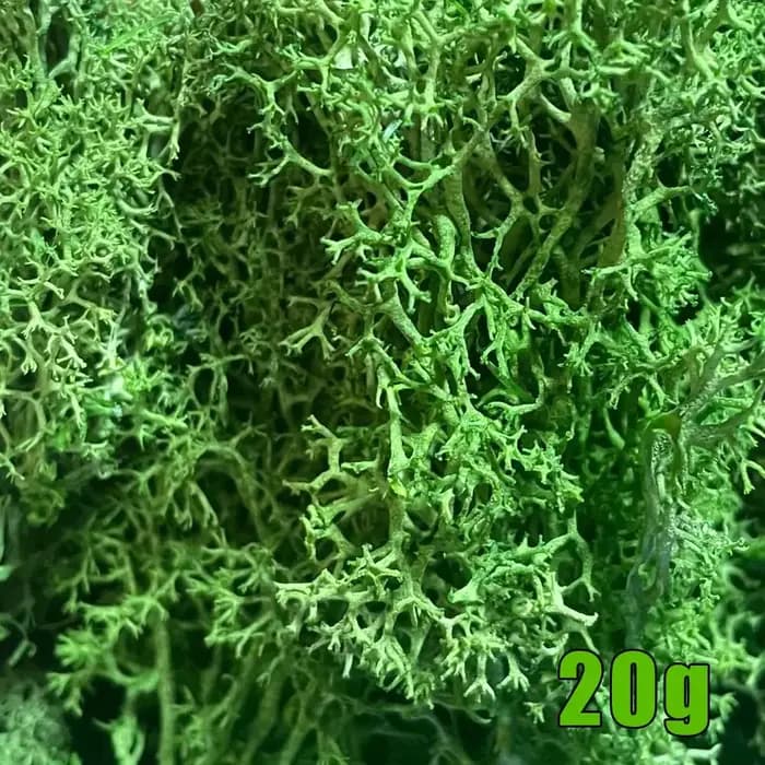 Mini paysage de fausses plantes artificielles
